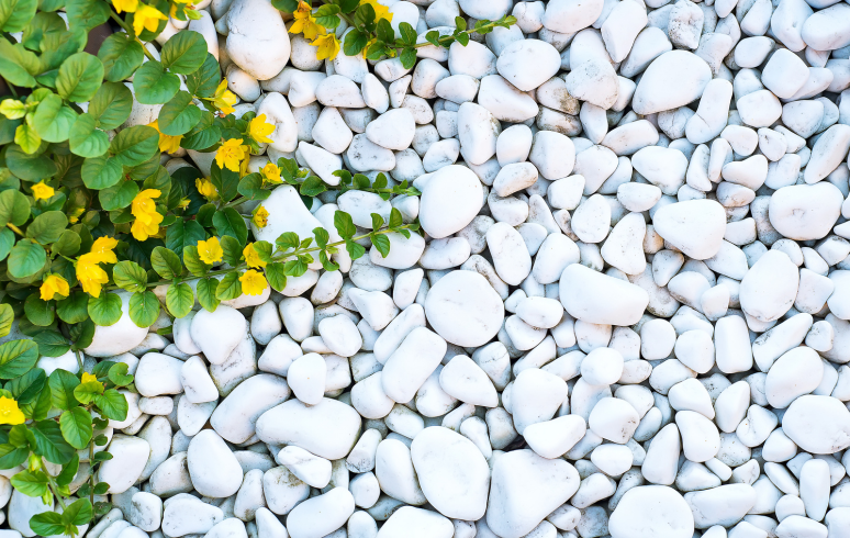 Rocks & Pebbles Natural Stones for Your Garden 